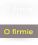 O firmie